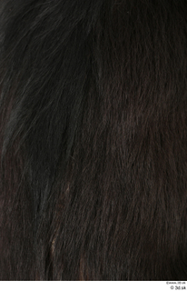 Chimpanzee Bonobo back fur 0001.jpg